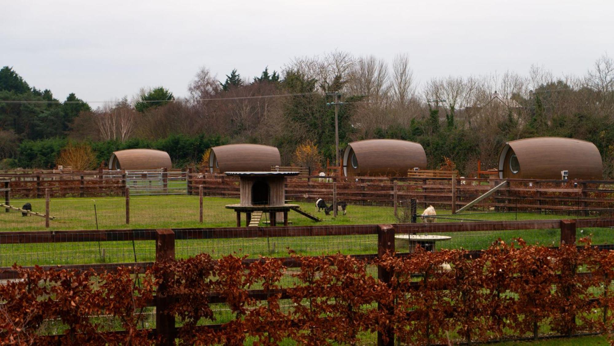 Hidden Acres- Luxury Glamping Pod Malahide