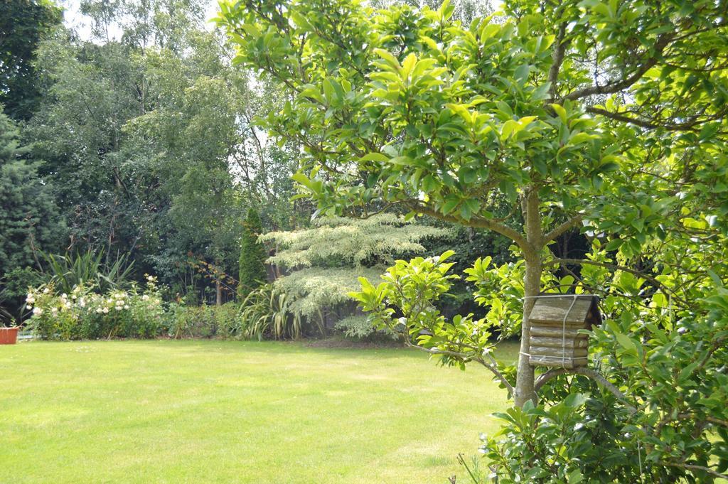 Beechwood Country house *